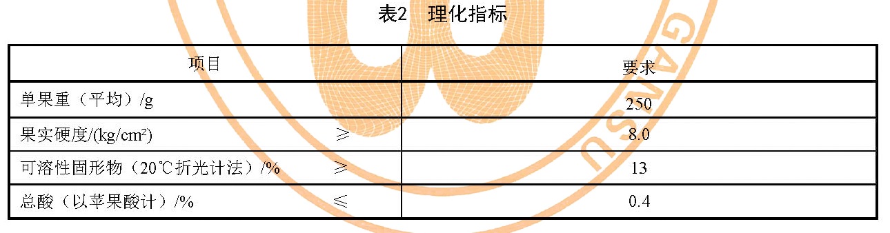 表2.jpg