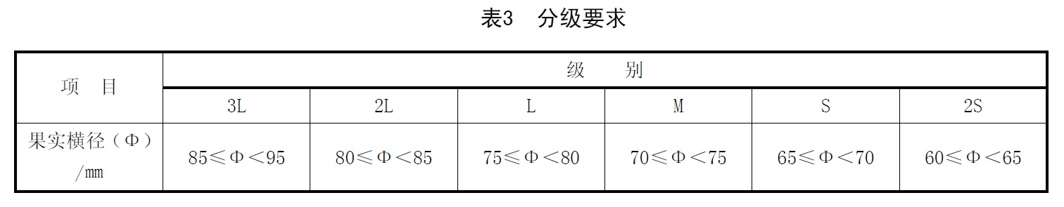 表3.jpg