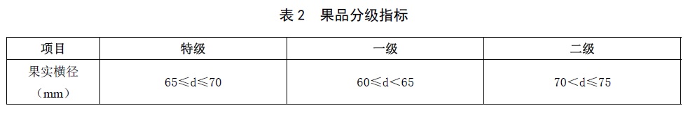 表2.jpg