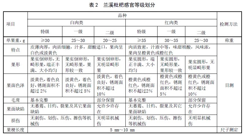表2.jpg