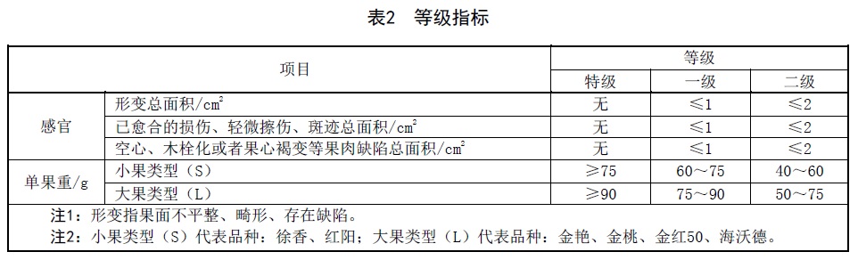 表2.jpg