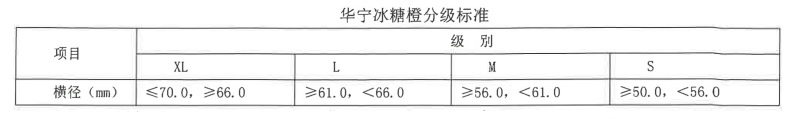 表2.jpg