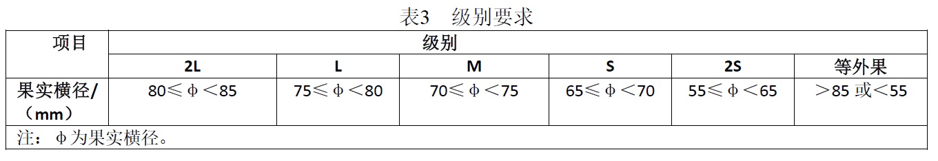 表3.jpg